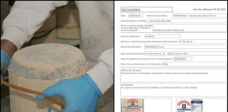 Gorgonzola richiamato dai supermercati per possibile Listeria: cosa sapere (e il lotto da evitare)