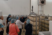 Il Gusto del Bello torna tra paesaggi, storia e sapori mantovani