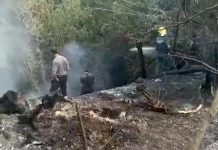 Mantova, incendio lungo il canale Diversivo. Si sospetta l’origine dolosa