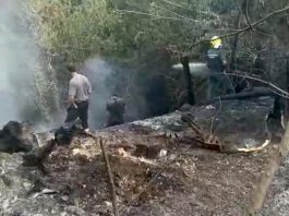 Mantova, incendio lungo il canale Diversivo. Si sospetta l’origine dolosa