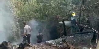 Mantova, spento l’incendio lungo il canale Diversivo. Si sospetta l’origine dolosa