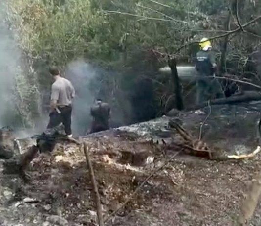 Mantova, spento l’incendio lungo il canale Diversivo. Si sospetta l’origine dolosa