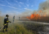 Mantova, incendio in zona Ghisiolo-Favorita, le fiamme minacciano il “Bùs dal Gat”
