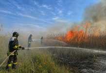 Mantova, incendio in zona Ghisiolo-Favorita, le fiamme minacciano il “Bùs dal Gat”