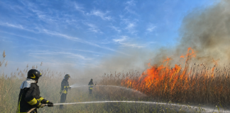 Mantova, incendio in zona Ghisiolo-Favorita, le fiamme minacciano il “Bùs dal Gat”