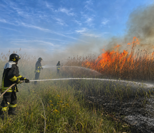 Mantova, incendio in zona Ghisiolo-Favorita, le fiamme minacciano il “Bùs dal Gat”
