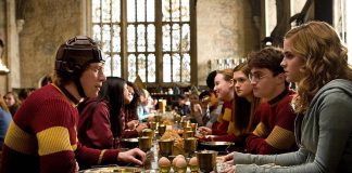 Harry Potter, la protesta dei fan: spostato il cavo sottomarino per la ‘tomba’ di Dobby