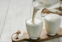Alimenti, studio UniFi sui benefici dei lieviti del kefir