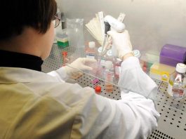 Bambina morta a Palermo, Istituto Superiore di Sanità: “Campione positivo al batterio della difterite”