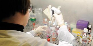 Bambina morta a Palermo, Istituto Superiore di Sanità: “Campione positivo al batterio della difterite”