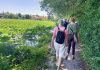 Mantova, 360mila euro per riqualificare le sponde del Lago Superiore