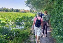 Mantova, 360mila euro per riqualificare le sponde del Lago Superiore