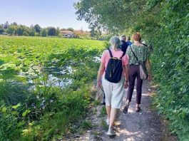 Mantova, 360mila euro per riqualificare le sponde del Lago Superiore
