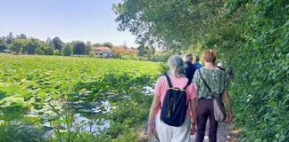 Mantova, 360mila euro per riqualificare le sponde del Lago Superiore