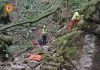 Tenta di salvare 13enne precipitato in una scarpata nel Bosco del Corniglio: morto capo scout