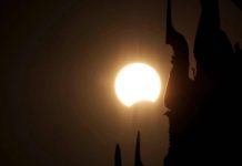 Eclissi, anche gli animali la vedranno: i consigli per non farli agitare