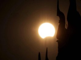 Eclissi, anche gli animali la vedranno: i consigli per non farli agitare