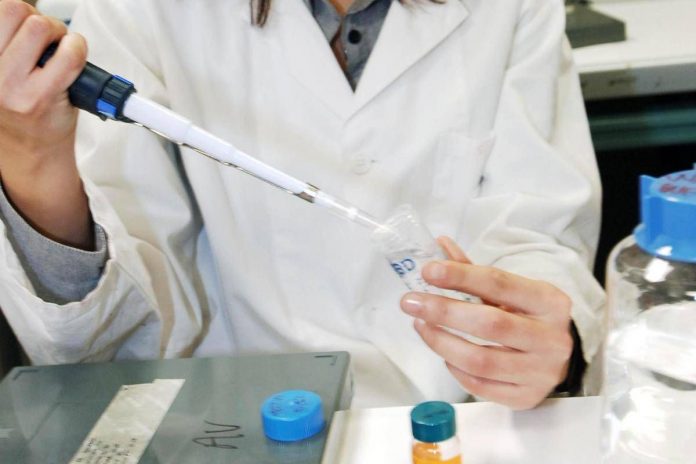 nel_laboratorio_dopo_la_conferenza_stampa_dell_istituto_scientifico_universitario_san_raffaele_una_proteina_ferma_la_crescita_del_glioblastoma_il_tumore_cerebrale_piu_frequente_nell_uomo-1