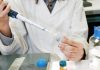 Melanoma, alcune cellule tumorali riescono a ‘nascondersi’ al sistema immunitario