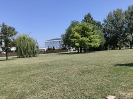 Porto Mantovano, Voi: “Recuperare i 120 alberi eliminati dal progetto di via Svevo”