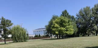 Porto Mantovano, Voi: “Recuperare i 120 alberi eliminati dal progetto di via Svevo”