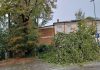 Maltempo, alberi caduti, fulmini e guasti: blackout in diverse zone di Suzzara e Poggio