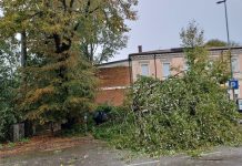 Maltempo, alberi caduti, fulmini e guasti: blackout in diverse zone di Suzzara e Poggio
