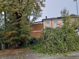 Maltempo, alberi caduti, fulmini e guasti: blackout in diverse zone di Suzzara e Poggio