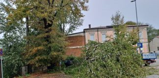 Maltempo, alberi caduti, fulmini e guasti: blackout in diverse zone di Suzzara e Poggio