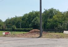Porta Cerese, via gli alberi per il cantiere del sottopasso. Ma montano le proteste dei cittadini