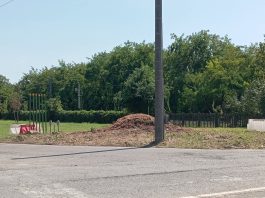 Porta Cerese, via gli alberi per il cantiere del sottopasso. Ma montano le proteste dei cittadini