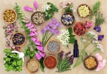 Mantova, corso sulle piante officinali con Coldiretti e Terranostra Lombardia