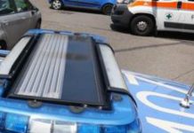 Bus guasto a Firenze, passeggero picchia l’autista e lo minaccia: “Guida o ti ammazzo”