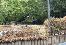 Milano, nuova aggressione ai Bastioni di Porta Venezia dopo la rissa: “Ormai è zona di crack”