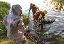 Trovato corpo senza vita nelle acque del Lago Inferiore: indagini in corso
