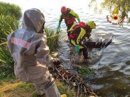 Trovato corpo senza vita nelle acque del Lago Inferiore: indagini in corso