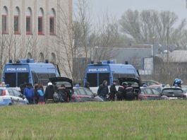 Libiola, rave party nella golena del Po: presidio totale e controlli delle forze dell’ordine