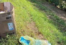 Sailetto, cartongesso e rifiuti: argine trasformato in discarica abusiva