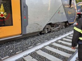 Roma, mucche su binari: treno deraglia vicino a stazione di Piana Bella a Montelibretti