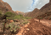 Alluvione lampo travolge il Grand Canyon: 1 morto e 15 escursionisti dispersi