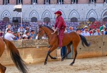 Palio Siena, la Contrada della Torre vince la quarta prova