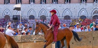 Palio Siena, la Contrada della Torre vince la quarta prova