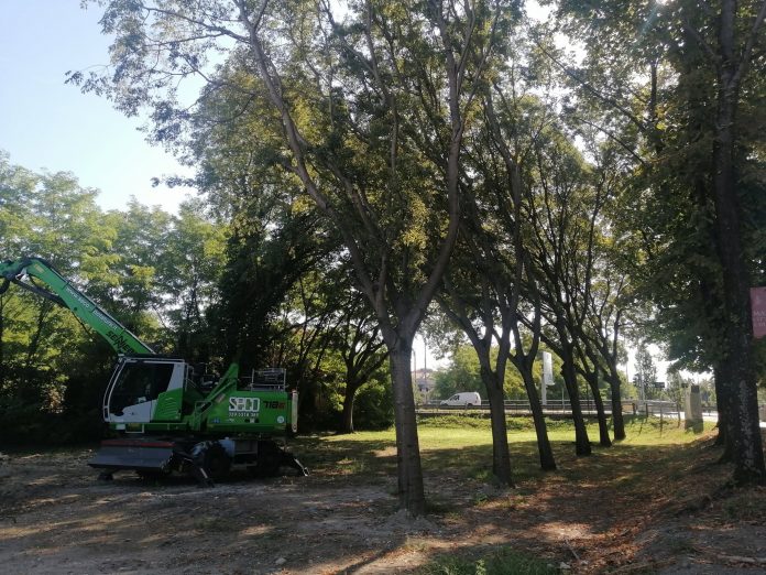 tagli alberi via Visi per sottopasso