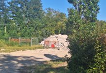 Sottopasso Porta Cerese: alberi tagliati tra le vie Visi, Bosco Virgiliano e la ferrovia