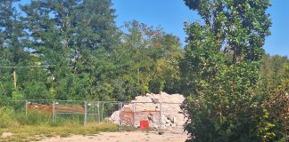 Sottopasso Porta Cerese: alberi tagliati tra le vie Visi, Bosco Virgiliano e la ferrovia