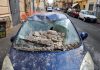 Terremoto 4.7 ai Campi Flegrei e sciame sismico, raffica di scosse