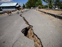 Terremoto in Indonesia, nuova scossa di magnitudo 5.6: continua l’emergenza