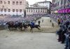 Palio di Siena, Tittia fa 13: ecco chi è il fantino che ha fatto trionfare il Nicchio