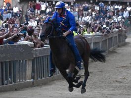 Palio Siena, notte tranquilla in ospedale per Tittia: condizioni in miglioramento