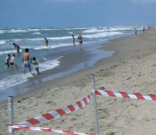 Moria di pesci a Torvajanica e Ardea, controlli sul litorale
